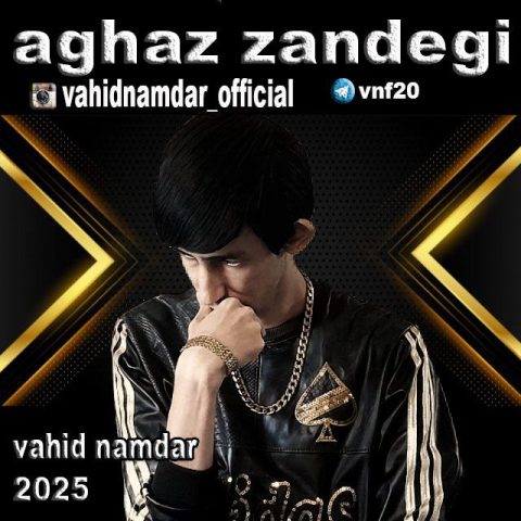 دانلود آهنگ وحید نامدار آغاز زندگی دانلود آهنگ وحید نامدار آغاز زندگی